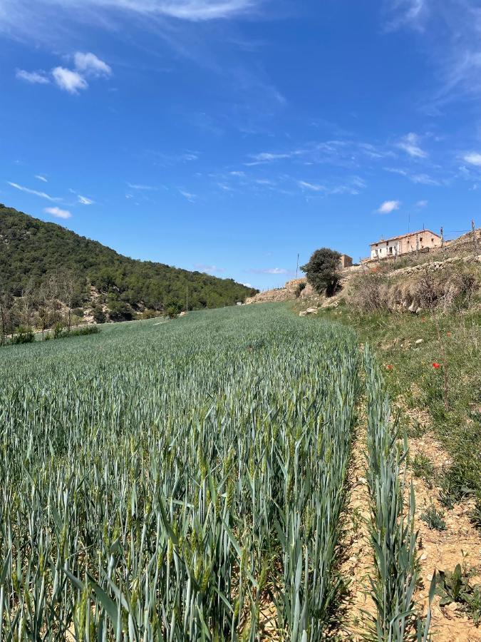 Masia La Perera Morella Esterno foto